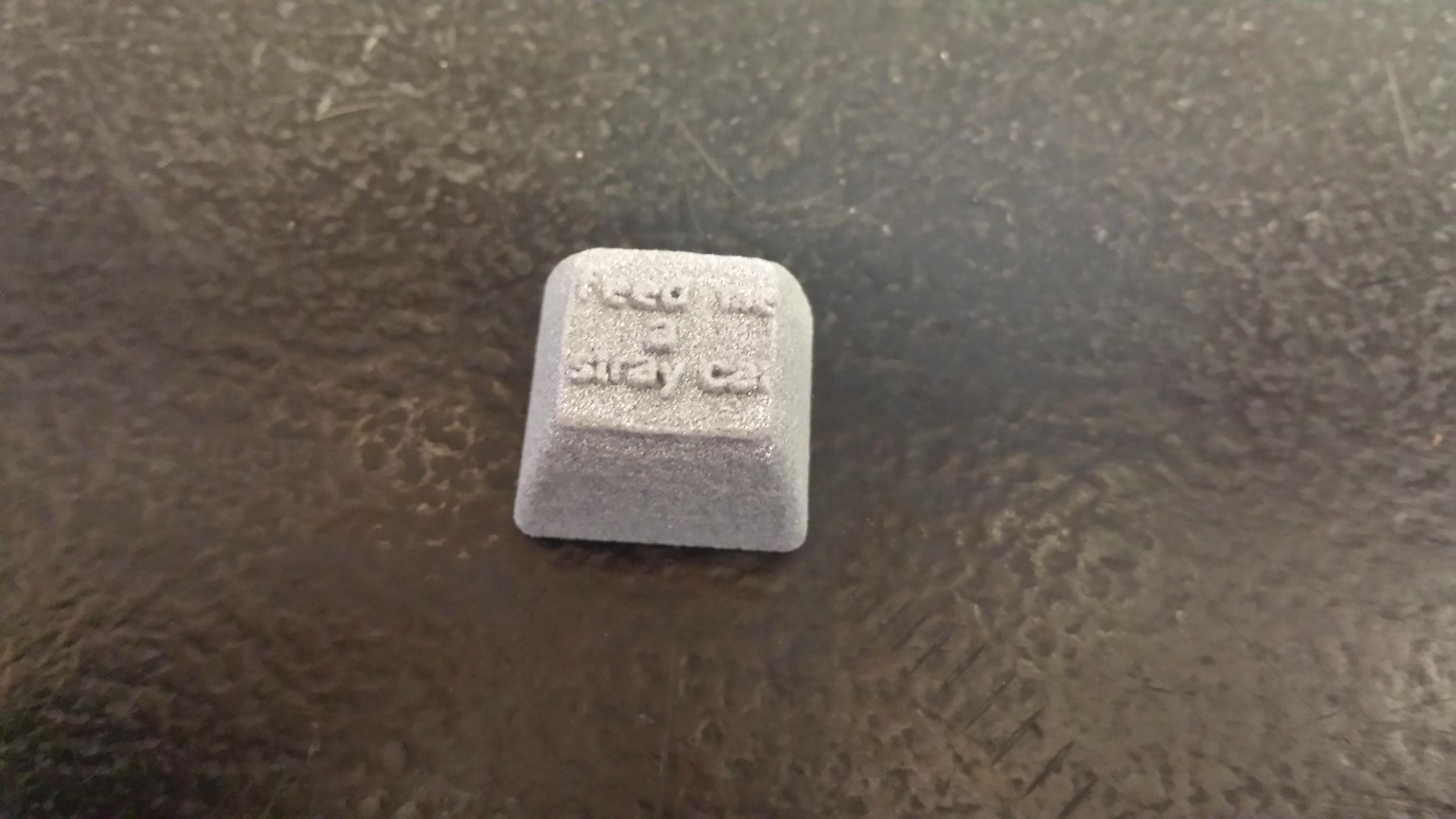 Feed me a stray cat.