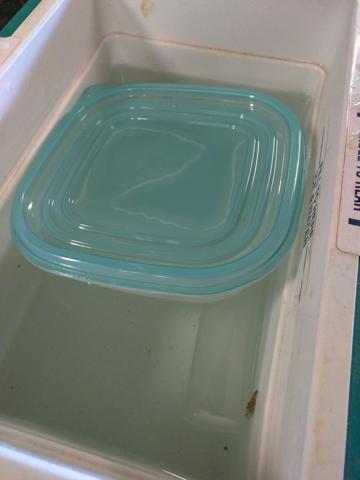 High-tech DIY PCB etching bath.