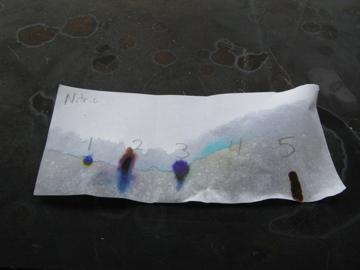 The nitric acid labeled test strip shows some drift and paper damage. Blot 4 is almost gone.