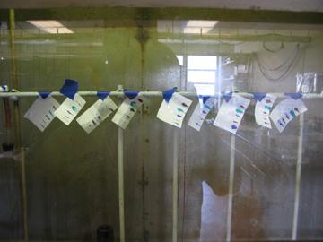Strips of ink blot test paper drying on a rack