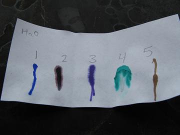 The water labeled test strip shows broadening of number 4